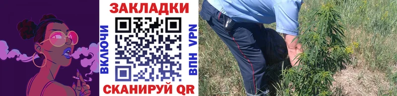 Где продают наркотики Красноперекопск Псилоцибиновые грибы  Мефедрон  hydra ссылки  A PVP  ГАШ  Конопля  КОКАИН 