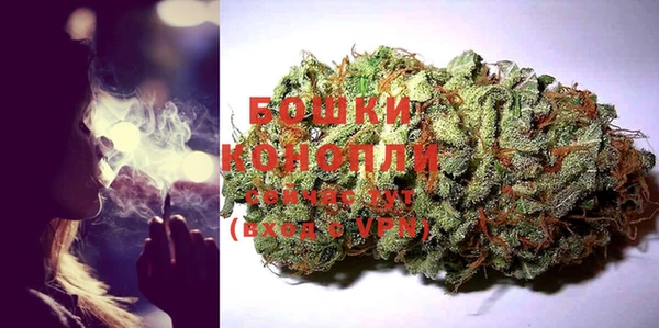 гидра Переславль-Залесский