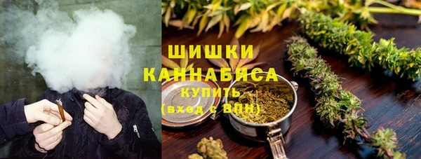 эйфоретик Арсеньев